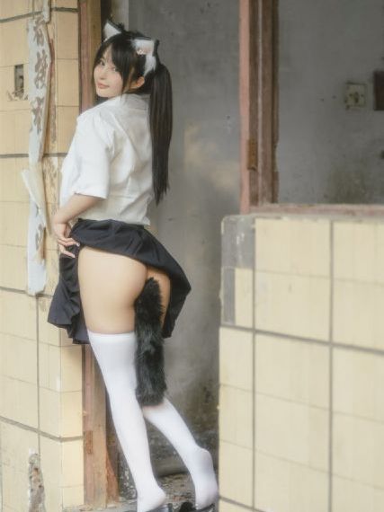 物语系列免费观看完整版